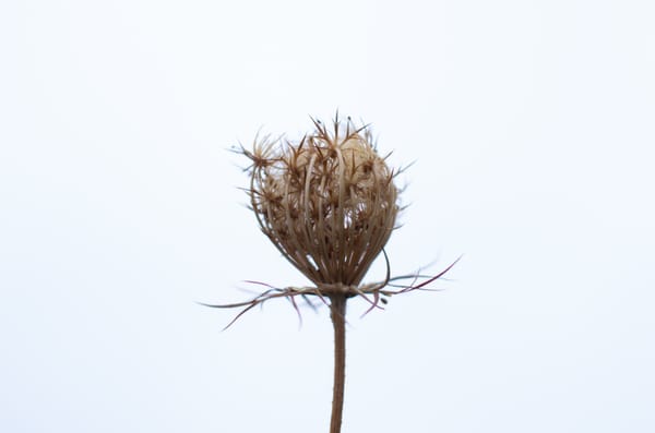 Test nur für seriöse Augen